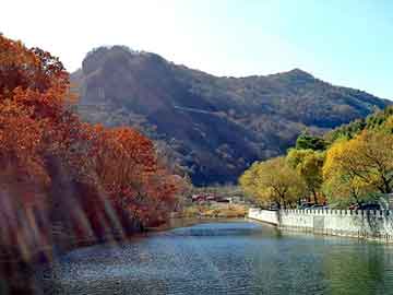 澳门最准的资料免费公开，上海钢塑土工格栅